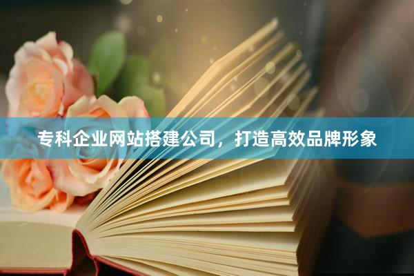 专科企业网站搭建公司，打造高效品牌形象